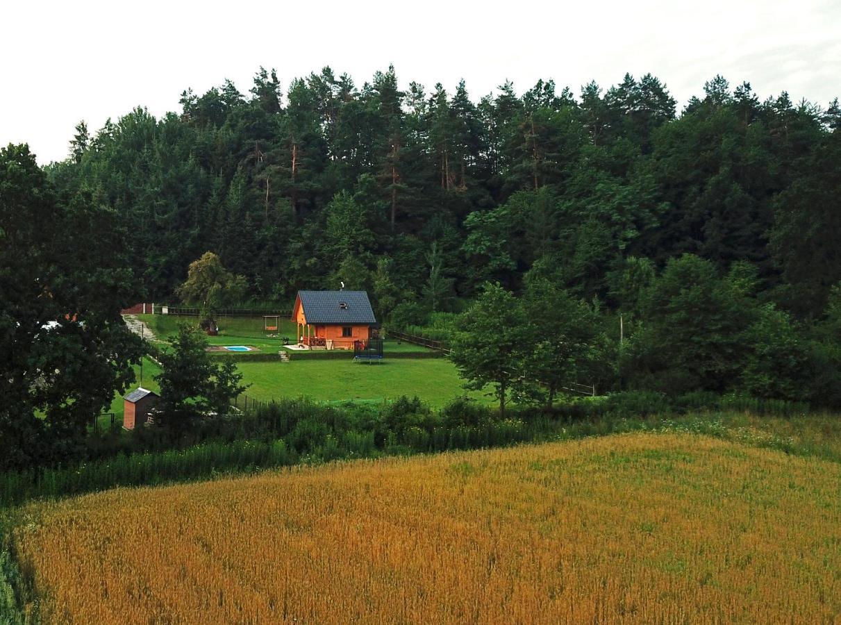 Domek Skowronek Z Basenem Леско Экстерьер фото