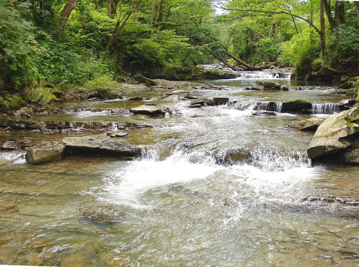 Domek Skowronek Z Basenem Леско Экстерьер фото