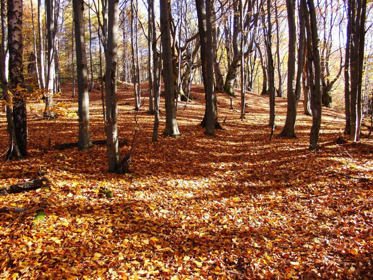 Domek Skowronek Z Basenem Леско Экстерьер фото
