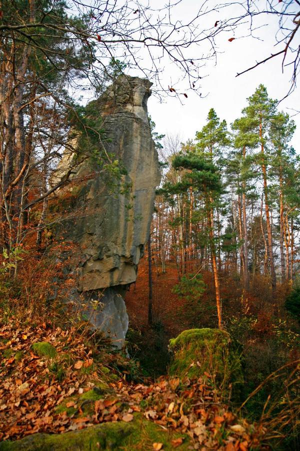 Domek Skowronek Z Basenem Леско Экстерьер фото